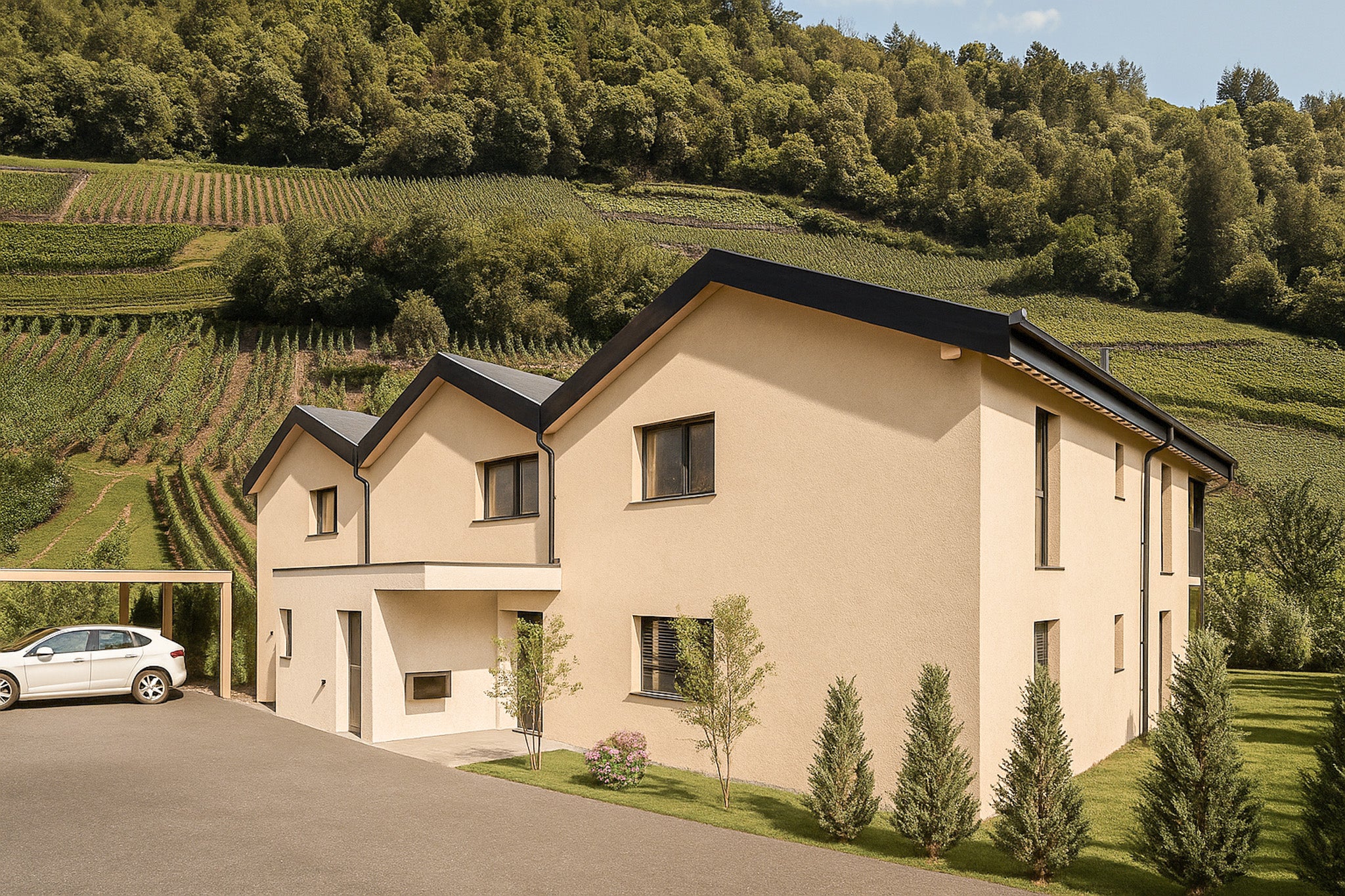 Projet Charmont, Valais - Vuisse